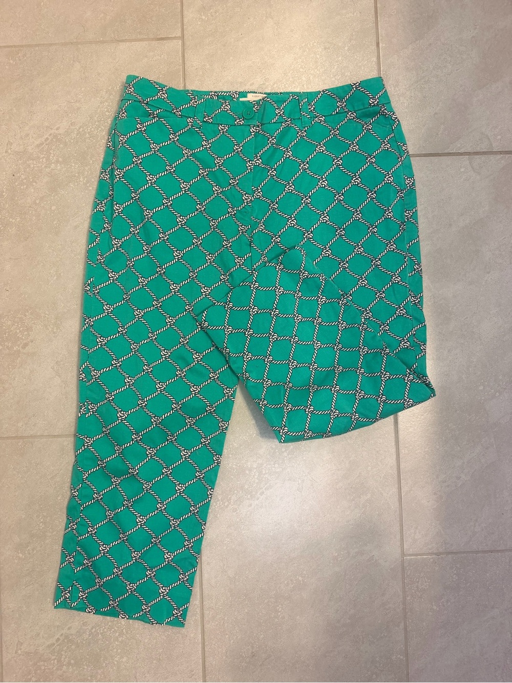 the Talbots Signature Crop Ankle Pants in the Kelly Green Rope Print